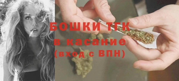 соль ск Михайлов
