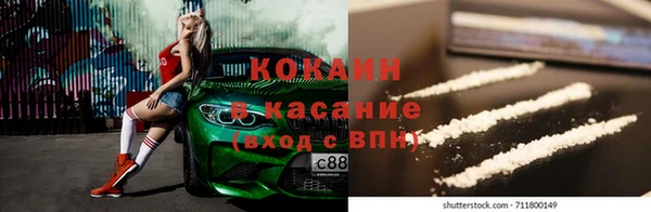 эйфоретик Богданович