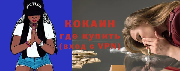 соль ск Михайлов