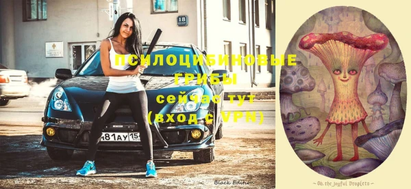 соль ск Михайлов
