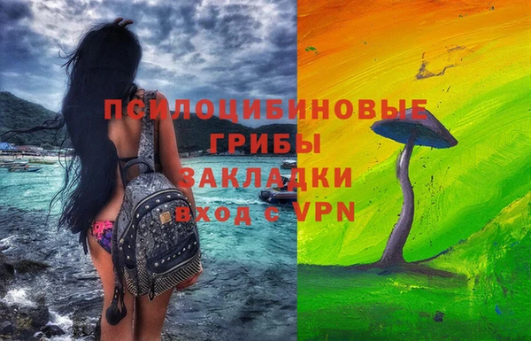 метадон Михайловск