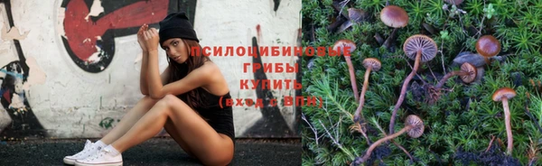 метадон Михайловск