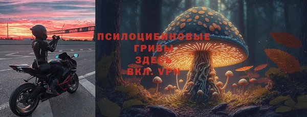 метадон Михайловск