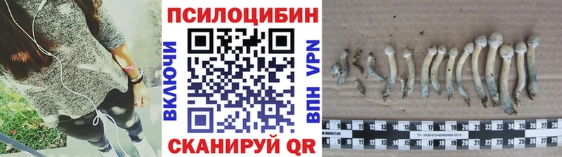 Псилоцибиновые грибы ЛСД  что такое наркотик  OMG зеркало  Гаврилов Посад 